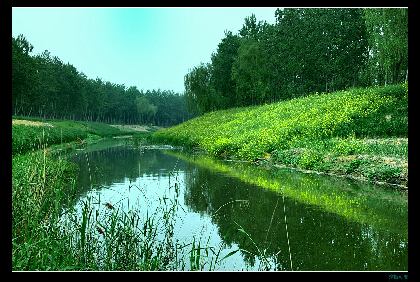 濮阳小景