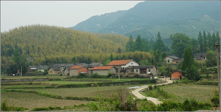 我的大别山之行