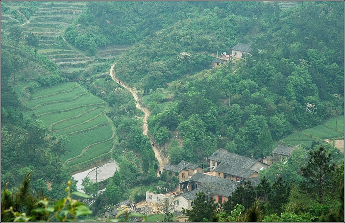 我的大别山之行