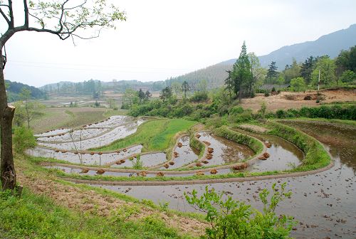 商城风光