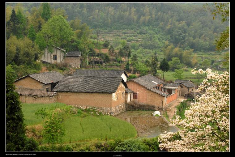 山中人家