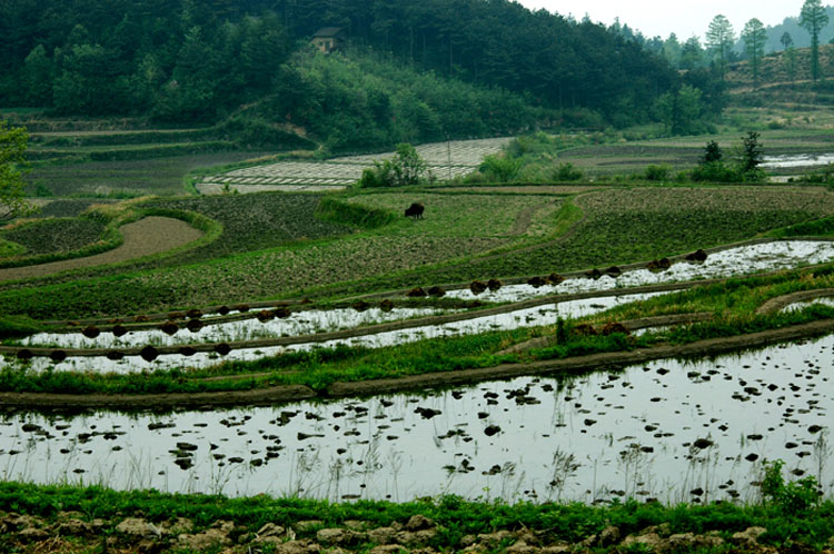 再发几张我眼中的商城