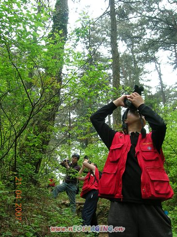 挺进大别山－－信阳商城采风花絮
