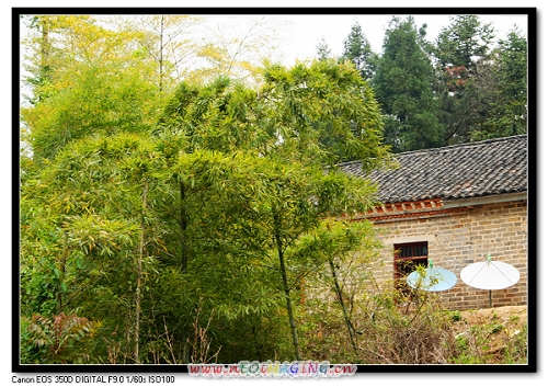 我眼中的商城,心中的田园