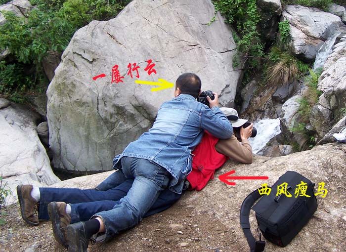 为艺术而献身
