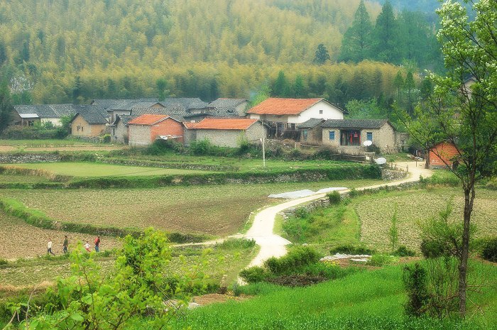 烟雨商城行