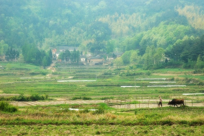 烟雨商城行