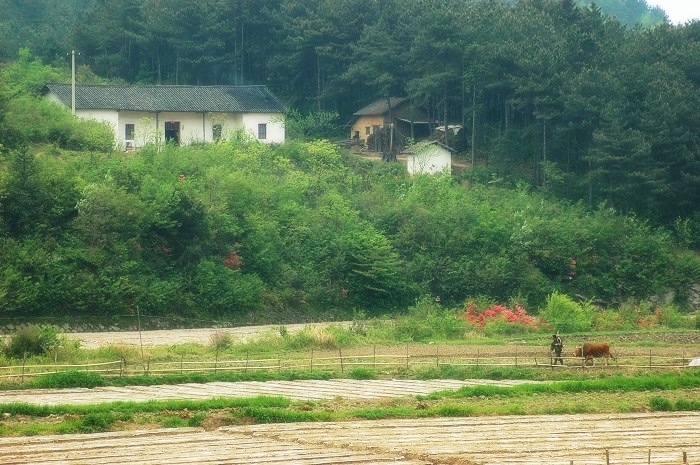 烟雨商城行