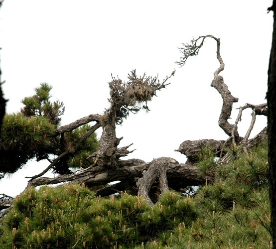 [原创]【走近商城、挺进大别山】商城风光