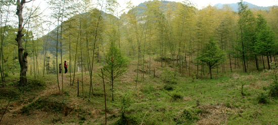 [原创]【走近商城、挺进大别山】商城风光