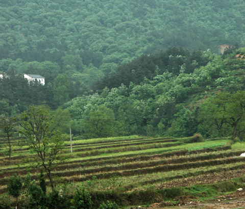 [原创]【走近商城、挺进大别山】商城风光