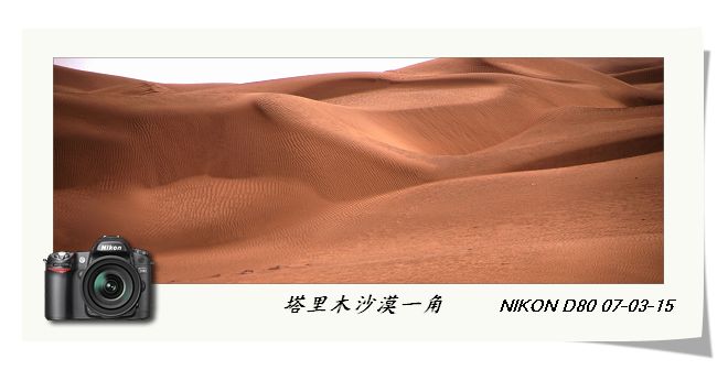 南疆之行