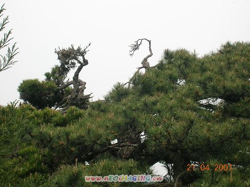 仙境_我眼中的商城