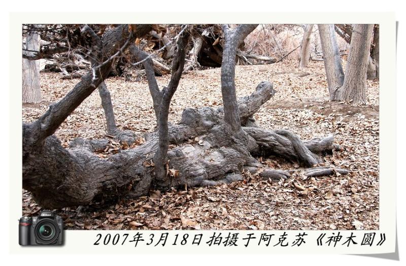 南疆之行