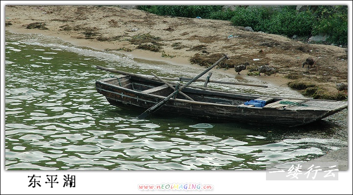 走近东平湖