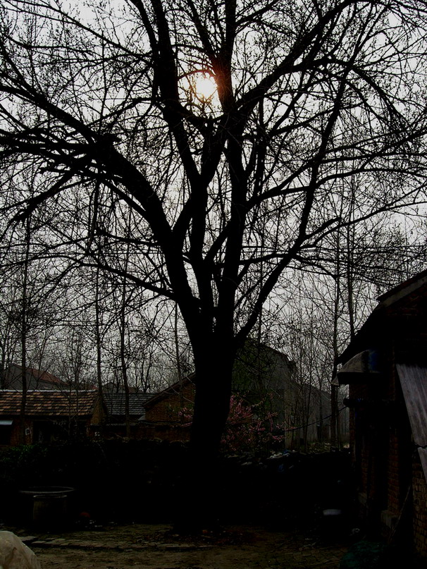 相伴