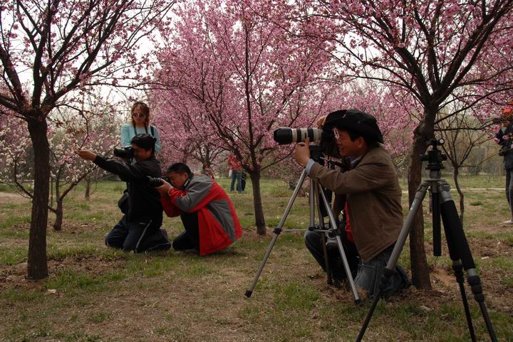 3月31日绿色庄园活动花絮