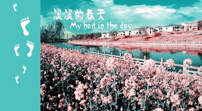很喜欢美丽的春天