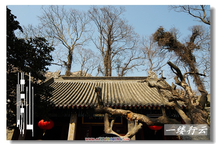 一个人的旅行
