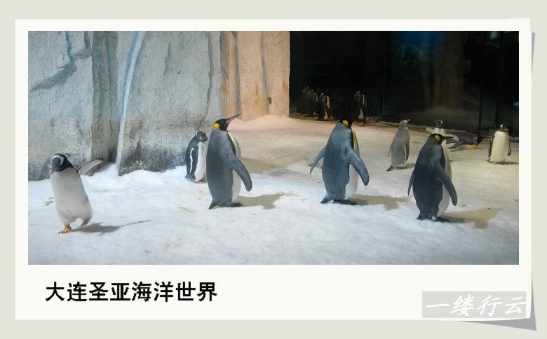 一个人的旅行