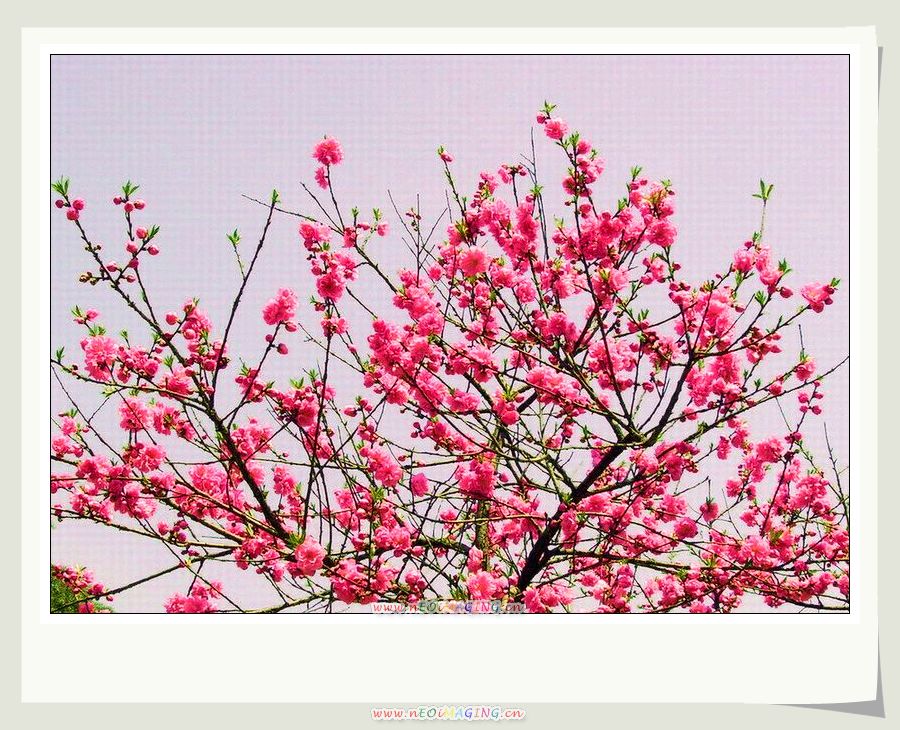 锦上添花