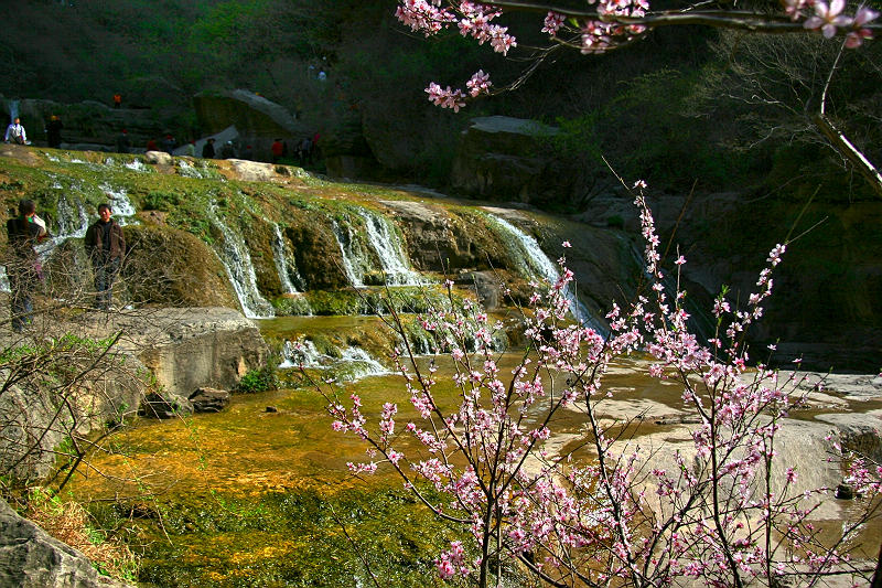 云台山春色