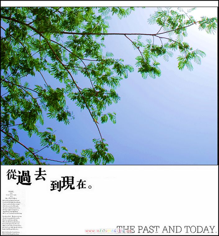 巴西木开花了－－附：红花与绿叶