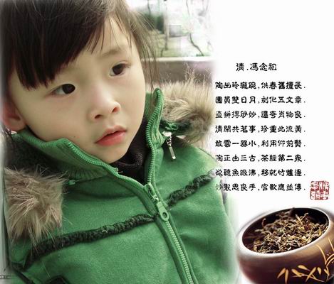 如茶一般的MM