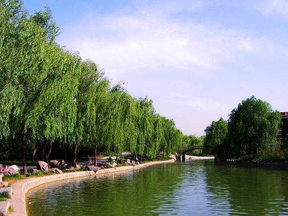 初夏的绿色庄园