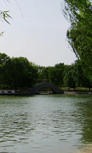 初夏的绿色庄园