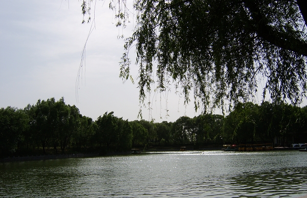 初夏的绿色庄园