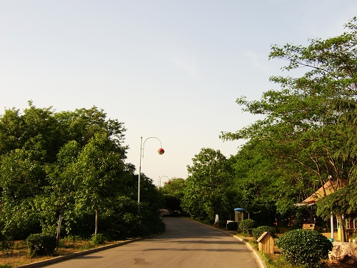 初夏的绿色庄园