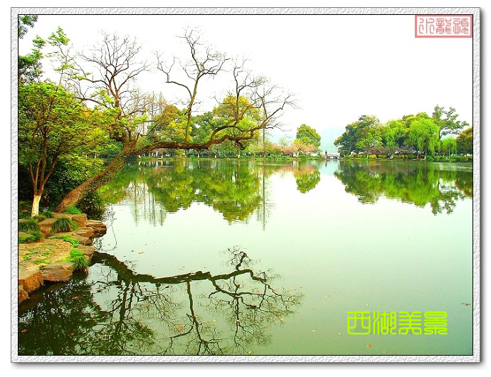 西湖美景