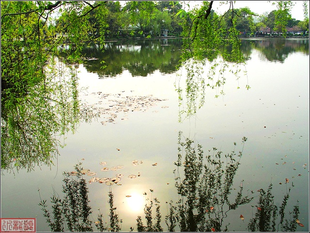 西湖美景