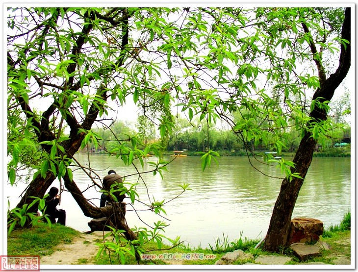 烟花三月下扬州之瘦西湖风景