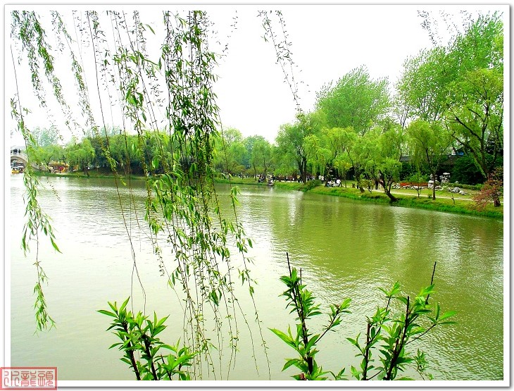 烟花三月下扬州之瘦西湖风景