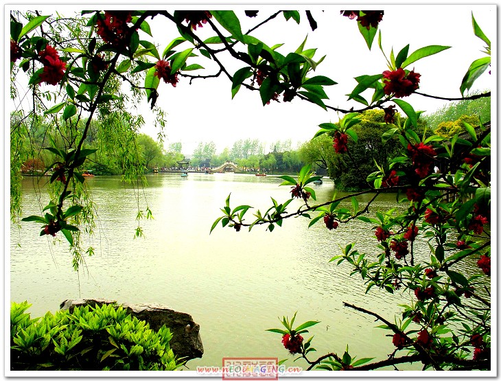 烟花三月下扬州之瘦西湖风景