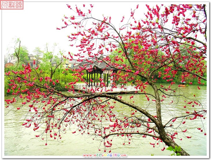 烟花三月下扬州之瘦西湖风景