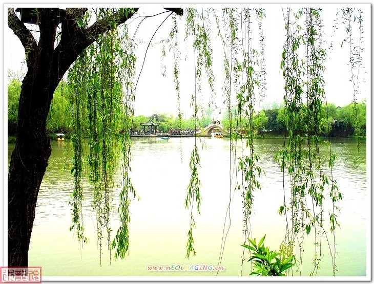 烟花三月下扬州之瘦西湖风景