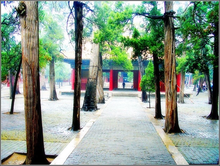 百年树人