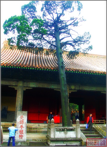 百年树人