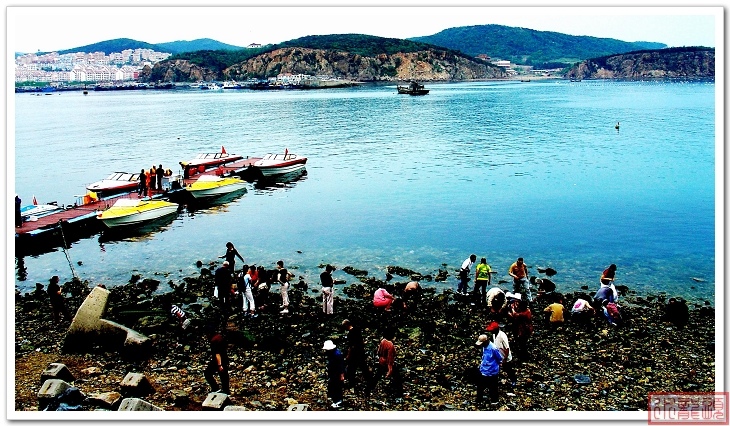海边拾贝