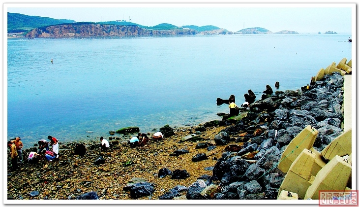 海边拾贝