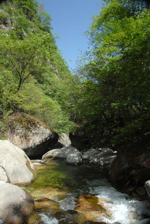 [原创]红河谷风光之一《山谷》