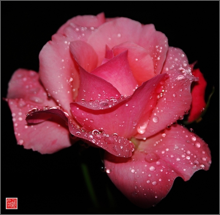 雨后~~
