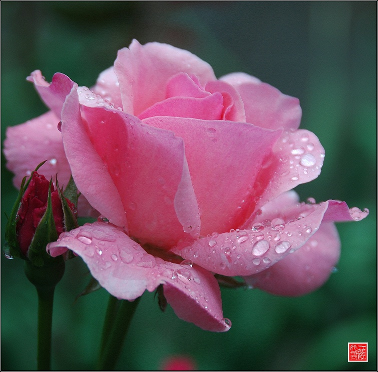 雨后~~