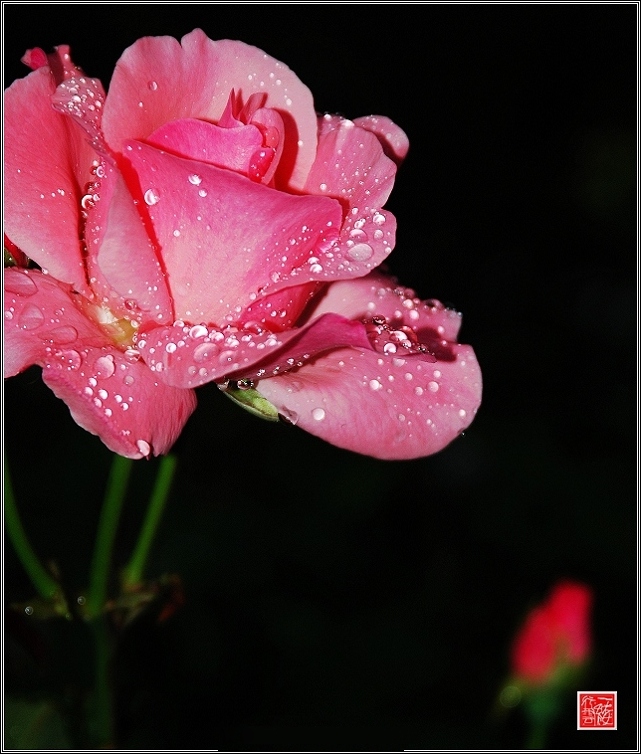 雨后~~