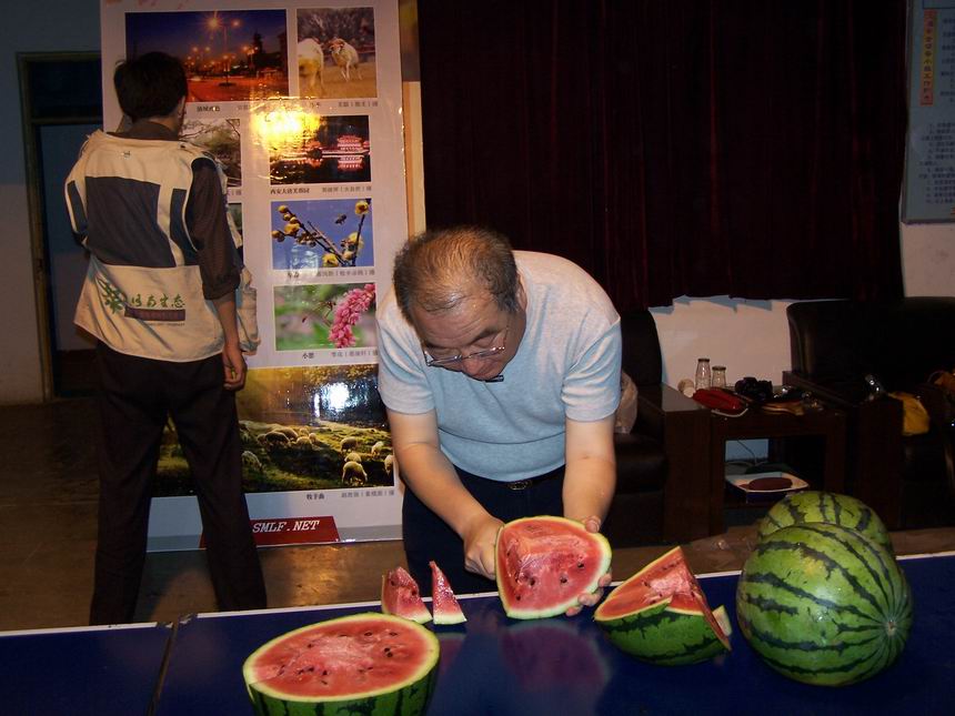 展版图片及版面制作运筹帷幄