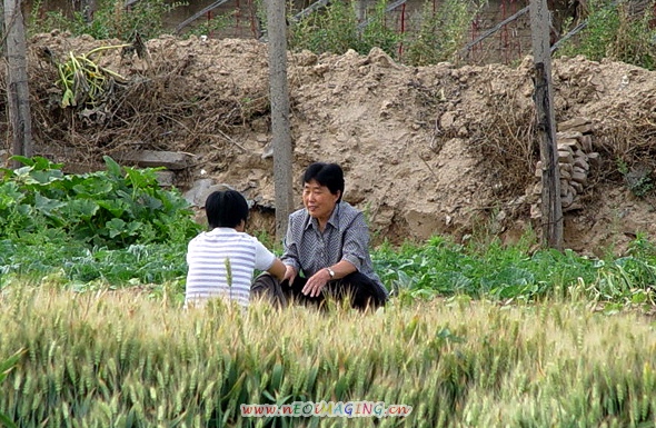 田间地头
