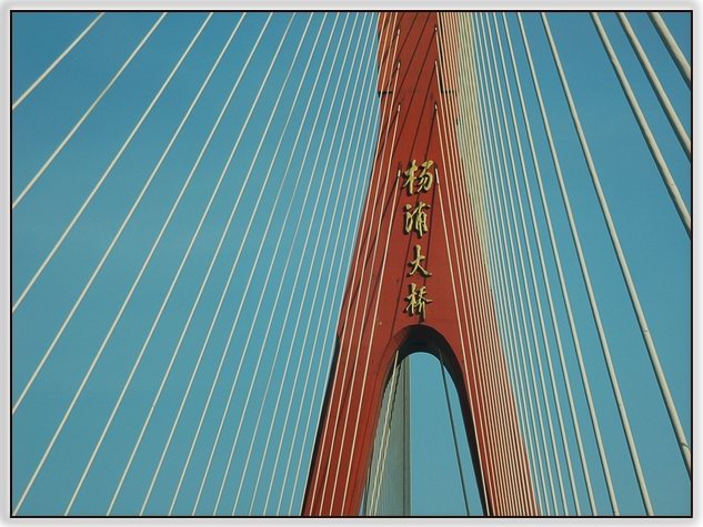 杨浦大桥